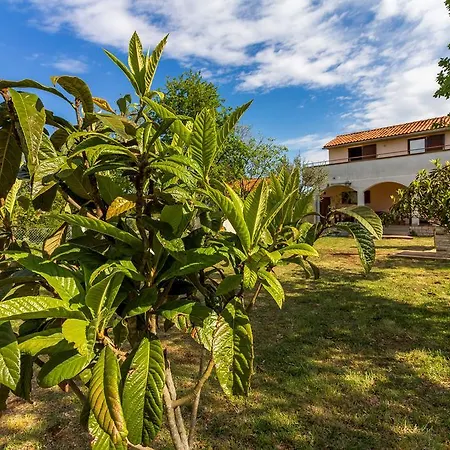 House At Peroj